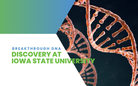 Breakthrough DNA Discovery at Iowa State University